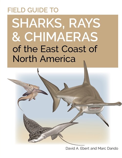 Field Guide to Sharks, Rays and Chimaeras of the East Coast of North America (Paperback)