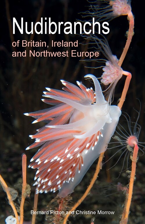 Nudibranchs of Britain, Ireland and Northwest Europe: Second Edition (Paperback)