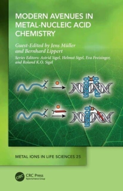 Modern Avenues in Metal-Nucleic Acid Chemistry (Hardcover, 1)