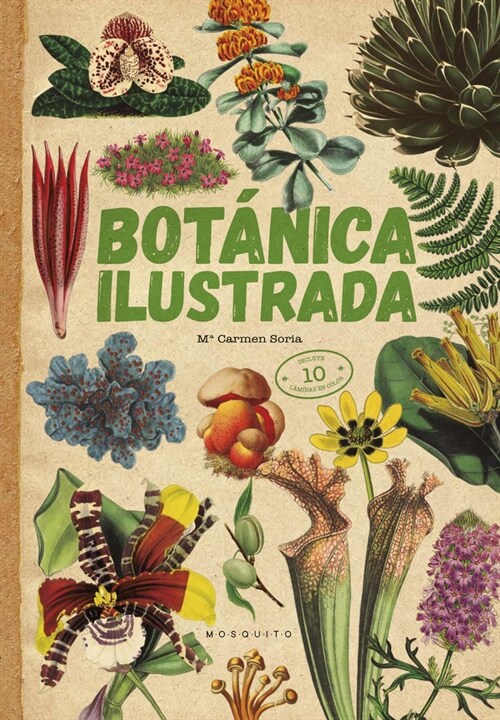 BOTANICA ILUSTRADA (Book)