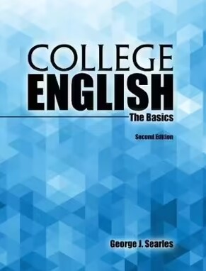College English : The Basics (Paperback, 2 Revised edition)
