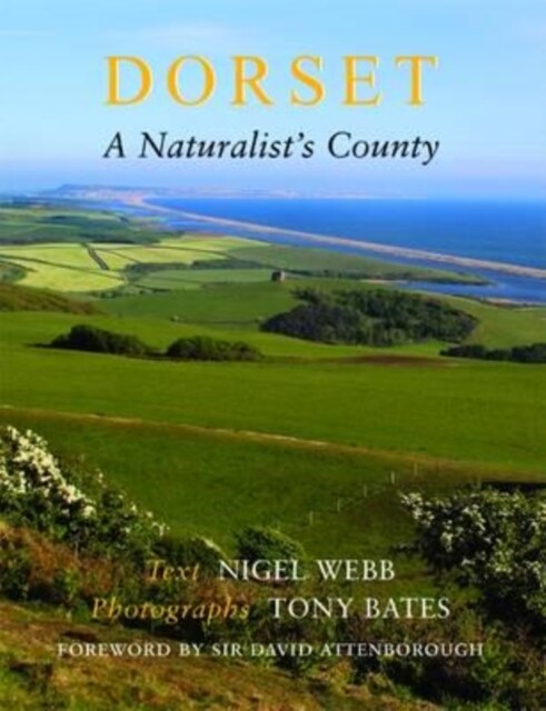 Dorset, a Naturalists County (Paperback)