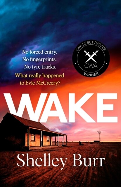 WAKE : An extraordinarily powerful debut mystery about a missing persons case, for fans of Jane Harper (Paperback)