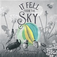 It Fell From The Sky (Paperback)