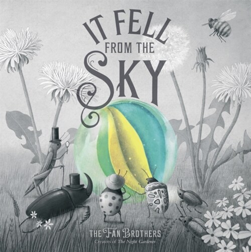 It Fell From The Sky (Paperback)