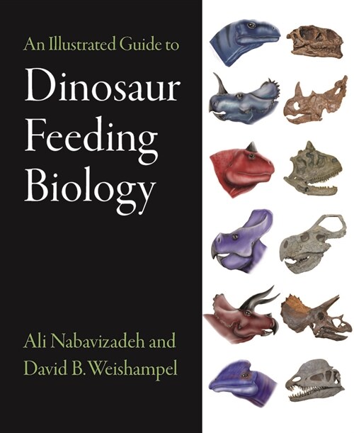 An Illustrated Guide to Dinosaur Feeding Biology (Hardcover)