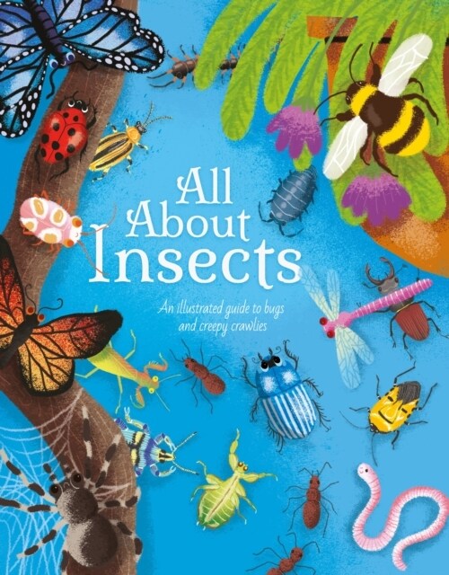 All About Insects : An illustrated guide to bugs and creepy-crawlies (Hardcover)