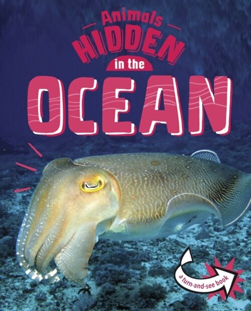 Animals Hidden in the Ocean (Hardcover)