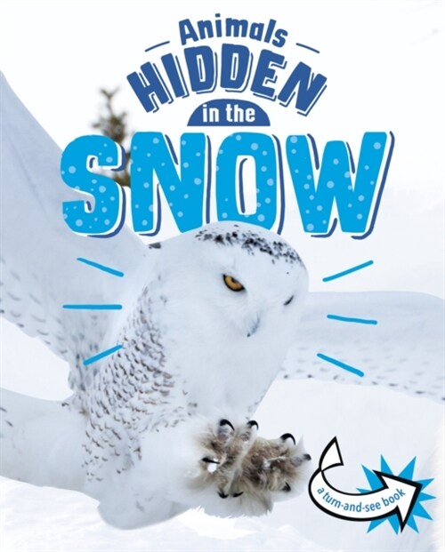 Animals Hidden in the Snow (Hardcover)