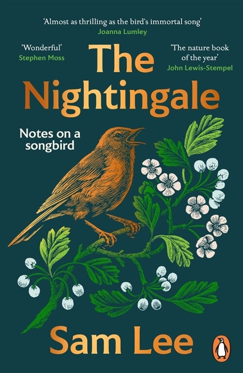 The Nightingale : ‘The nature book of the year’ (Paperback)