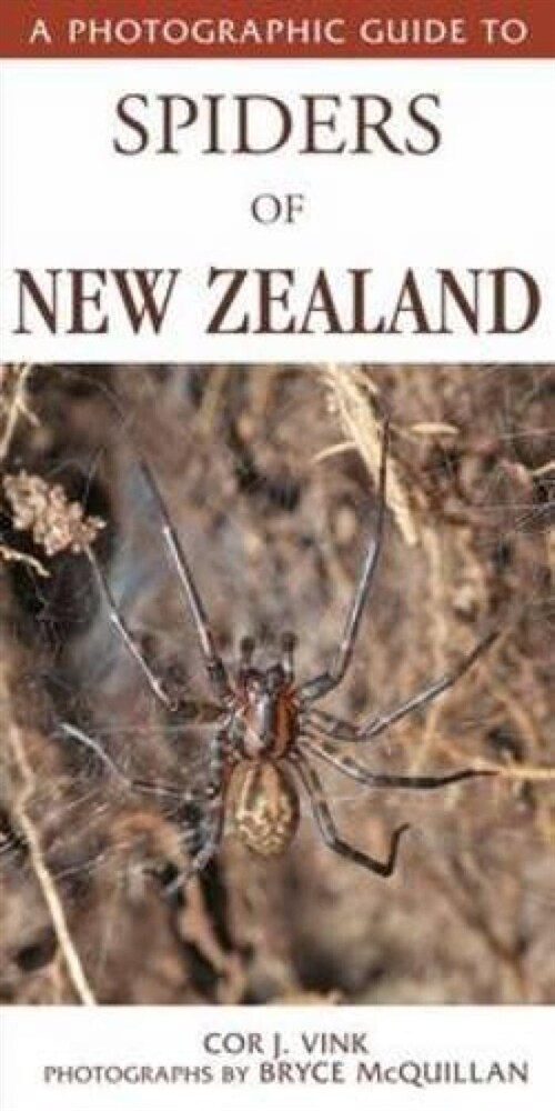 Photographic Guide To Spiders Of New Zealand (Paperback)