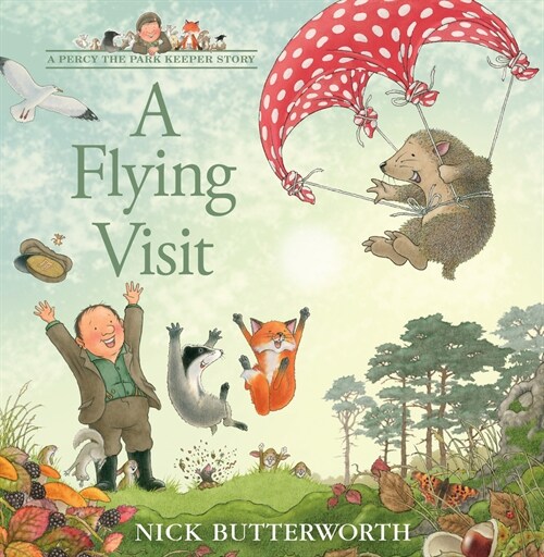 A Flying Visit (Paperback)