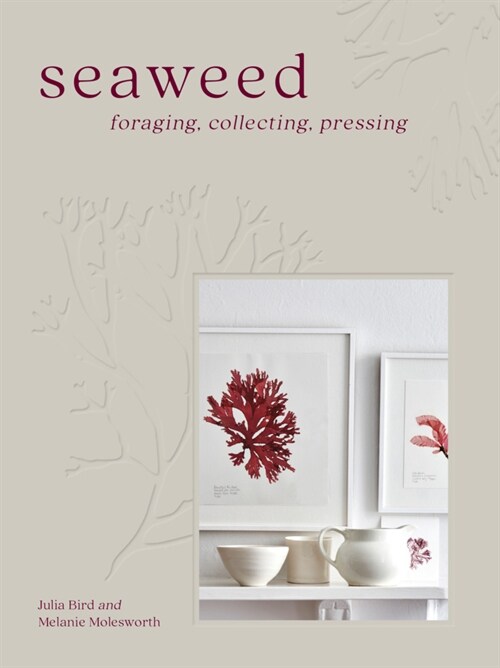 Seaweed : Foraging, Collecting, Pressing (Hardcover)