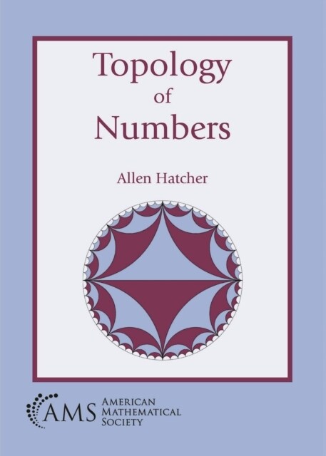 Topology of Numbers (Paperback)