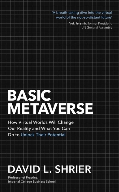 Basic Metaverse : How Virtual Worlds Will Change Our Reality and What You Can Do to Unlock Their Potential (Paperback)