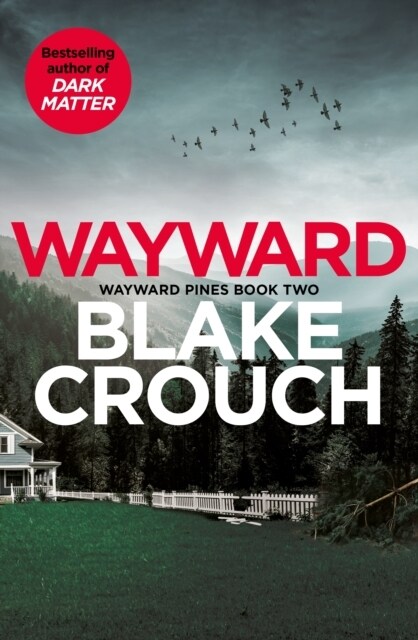 Wayward (Paperback)