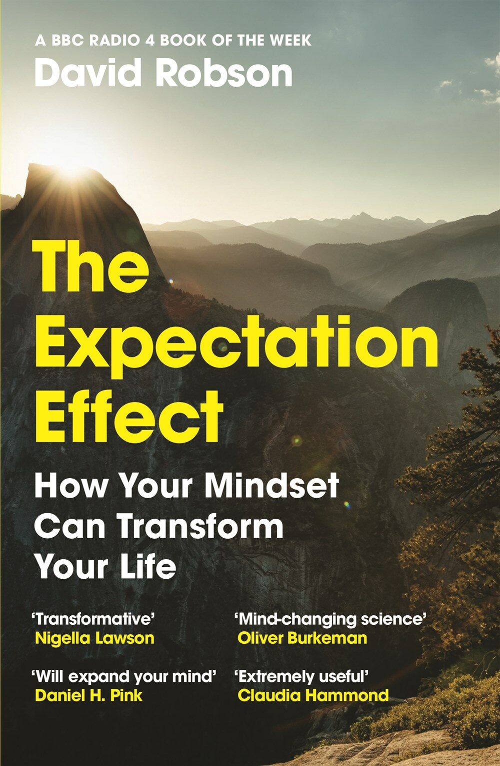 The Expectation Effect : How Your Mindset Can Transform Your Life (Paperback)