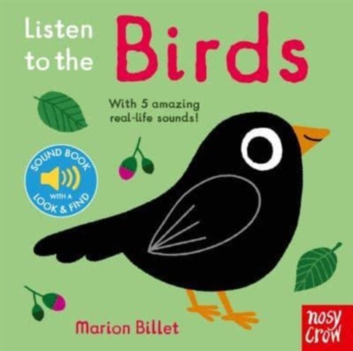 Listen to the Birds (Board Book, Re-issue)