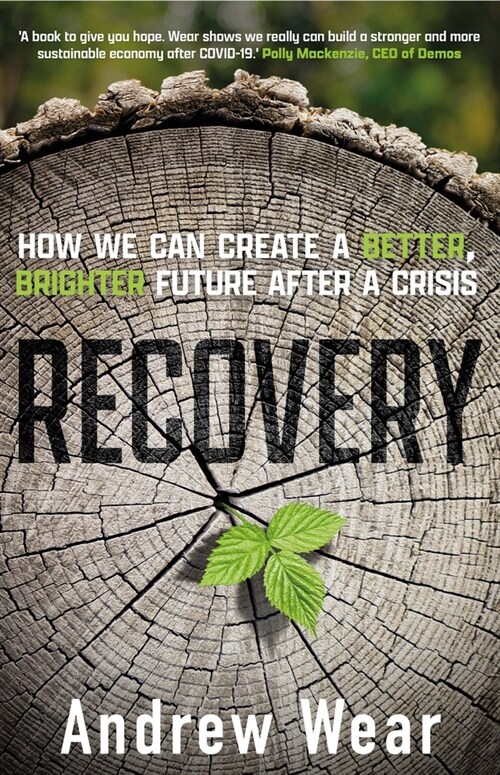 Recovery : How We Can Create a Better, Brighter Future after a Crisis (Paperback)