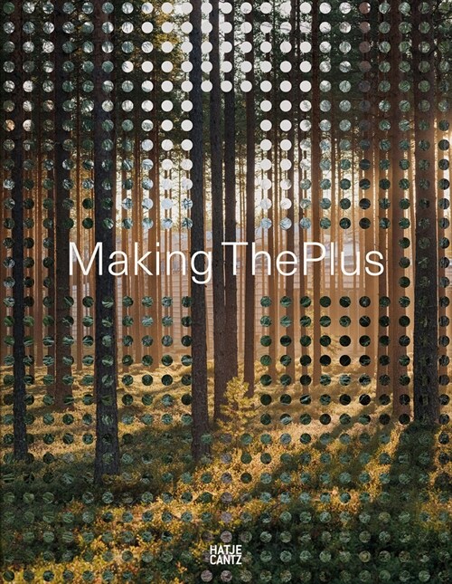 Making the Plus (Paperback)