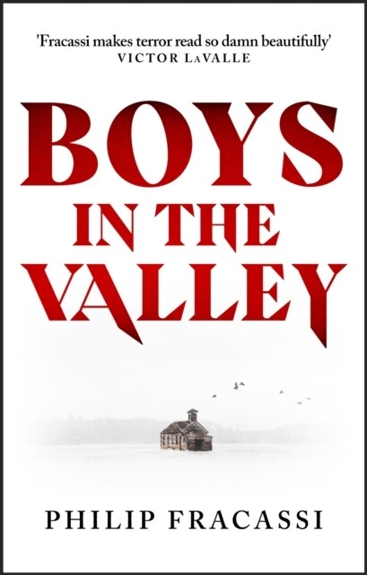 Boys in the Valley : THE TERRIFYING AND CHILLING FOLK HORROR MASTERPIECE (Paperback)