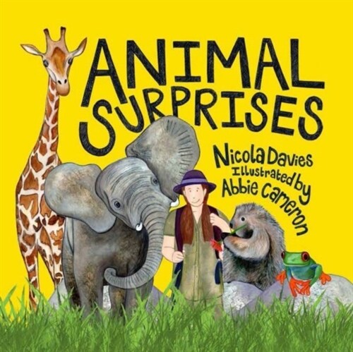 Animal Surprises (Paperback)