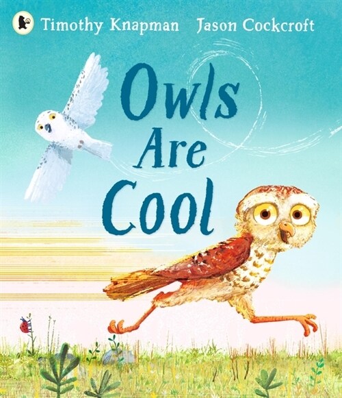 Owls Are Cool (Paperback)