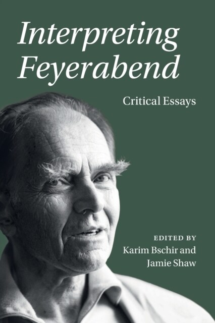 Interpreting Feyerabend : Critical Essays (Paperback)