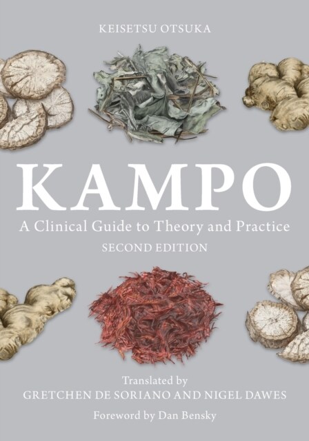 Kampo : A Clinical Guide to Theory and Practice (Paperback)