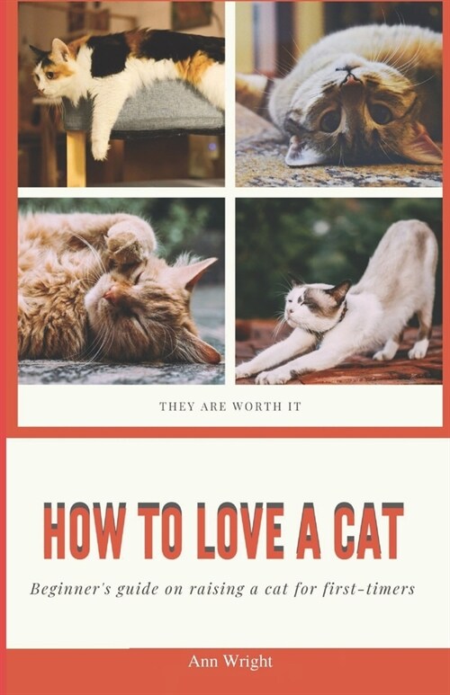 How to Love a Cat: Beginners Guide on Raising a Cat for First Timers (Paperback)