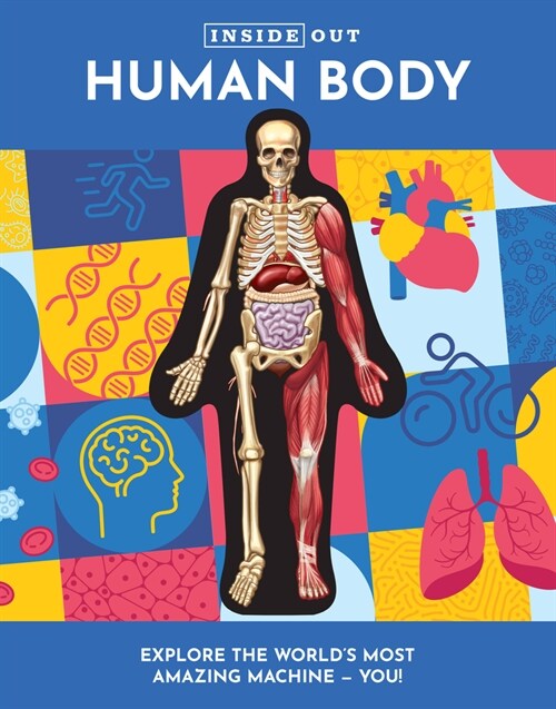 Inside Out Human Body (Hardcover)