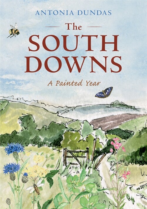 The South Downs : A Painted Year (Paperback)