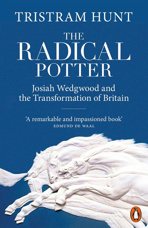 The Radical Potter : Josiah Wedgwood and the Transformation of Britain (Paperback)
