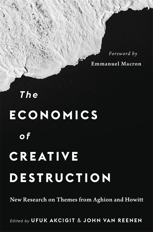 The Economics of Creative Destruction: New Research on Themes from Aghion and Howitt (Hardcover)