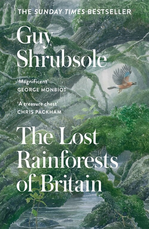 The Lost Rainforests of Britain (Paperback)