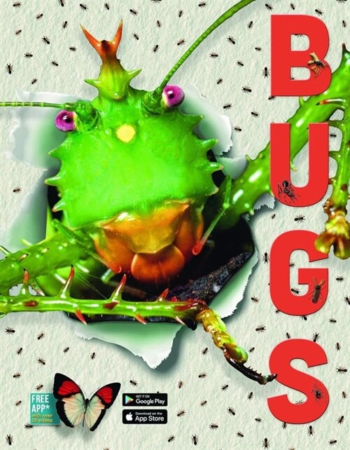 Bugs (Hardcover)