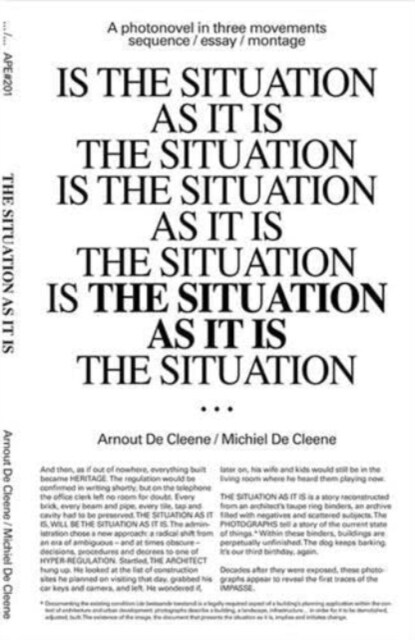 The Situation As It Is (Paperback)