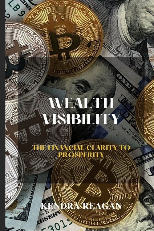 Wealth Visibility; The Financial Clarity to Prosperity (Paperback)