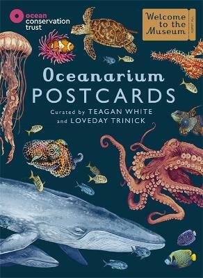 Oceanarium Postcards (Cards)