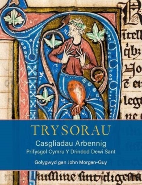 Trysorau: Casgliadau Arbennig Prifysgol Cymru Y Drindod Dewi Sant (Hardcover)