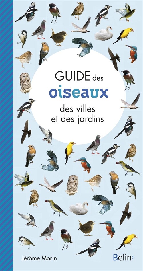 Guide des oiseaux des villes et des jardins (Paperback)