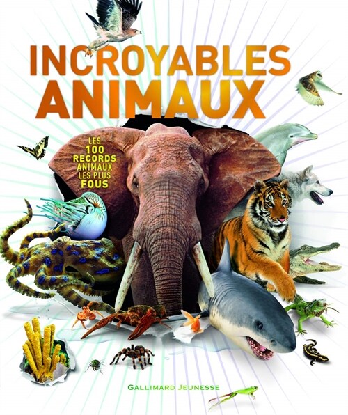 Incroyables animaux (Hardcover)