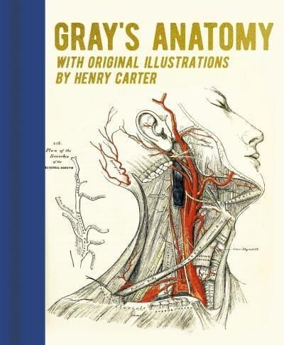 Grays Anatomy : With Original Illustrations by Henry Carter (Hardcover)