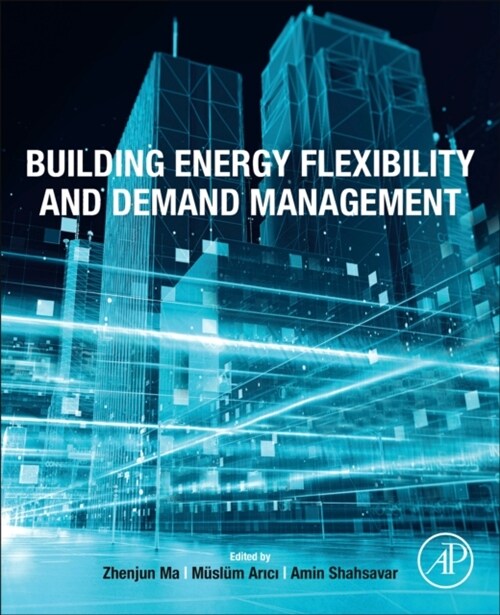 Building Energy Flexibility and Demand Management (Paperback)