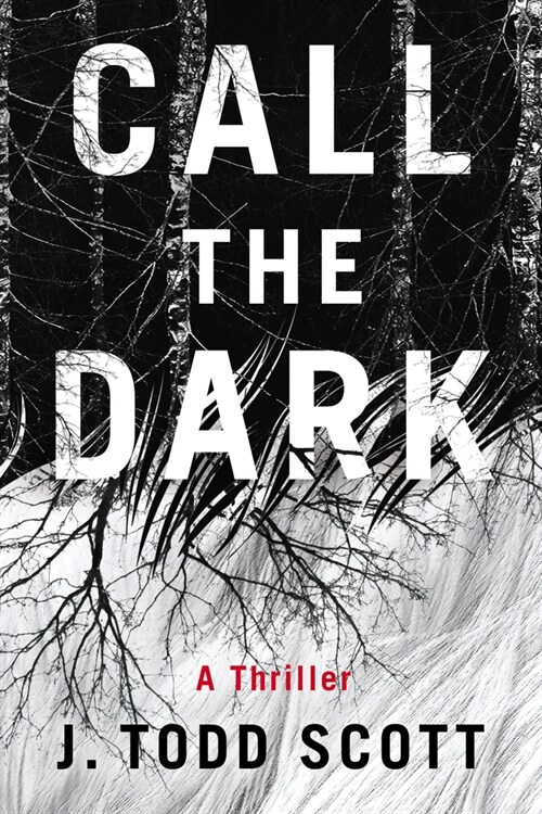 Call the Dark: A Thriller (Paperback)