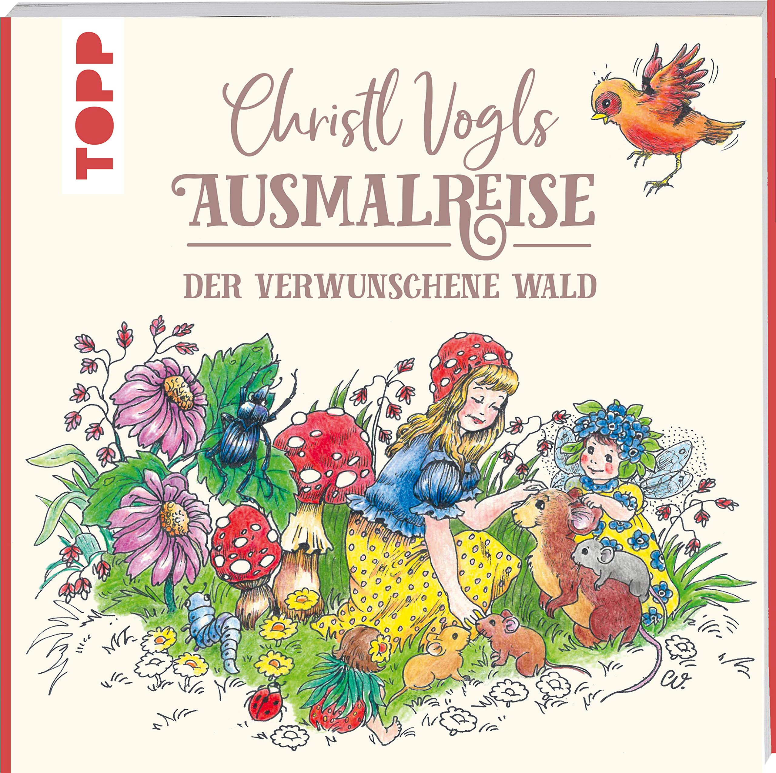 Christl Vogls Ausmalreise - Der verwunschene Wald: Ausmalen & traumen (Paperback)