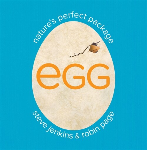 Egg: Natures Perfect Package (Paperback)
