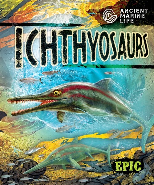 Ichthyosaurs (Paperback)