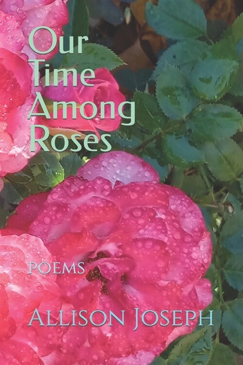 Our Time Among Roses (Paperback)