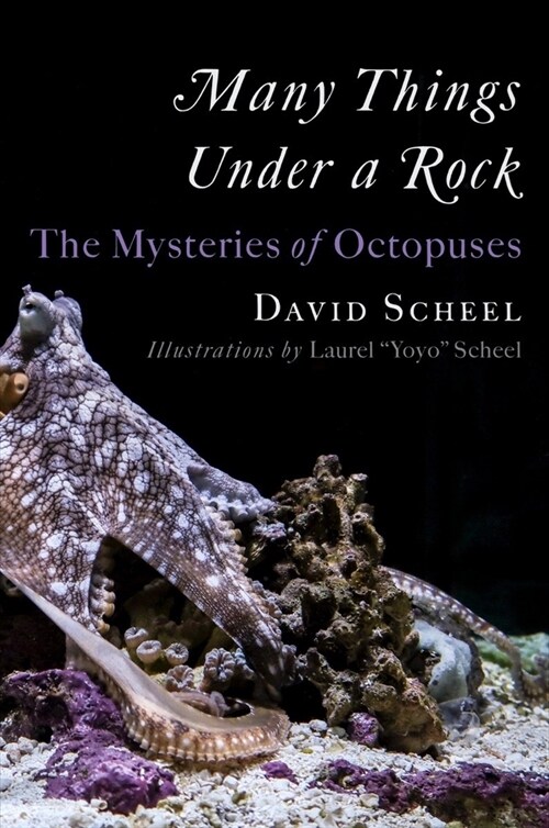 Many Things Under a Rock: The Mysteries of Octopuses (Hardcover)